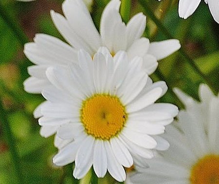 Gallery Gallery 2
