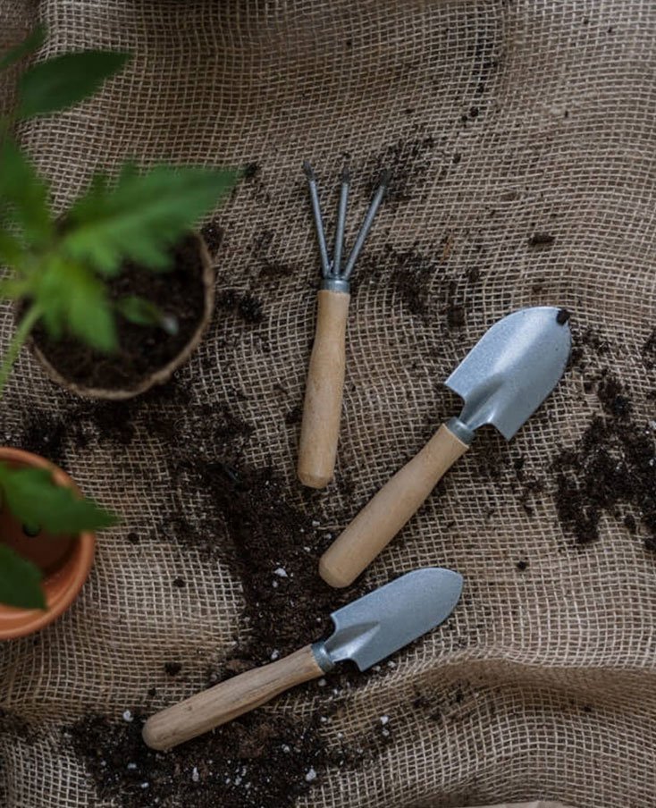 Services Gardening Tools 01